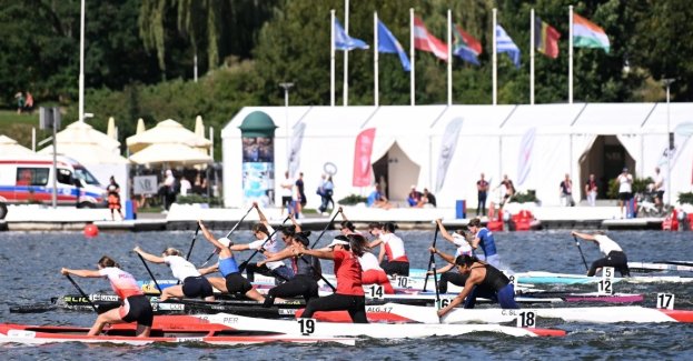 To już pewne – kolejne wielkie wydarzenia w kajakarstwie zagoszczą w Poznaniu. W najbliższych latach na miejscowym torze regatowym Malta zostaną rozegrane m.in. młodzieżowe mistrzostwa Europy w sprincie kajakowym czy mistrzostwa Europy w parakajakarstwie. – Jesteśmy na etapie dopracowywania szczegółów – wskazuje Jolanta Rzepka, sekretarz generalna Polskiego Związku Kajakowego.